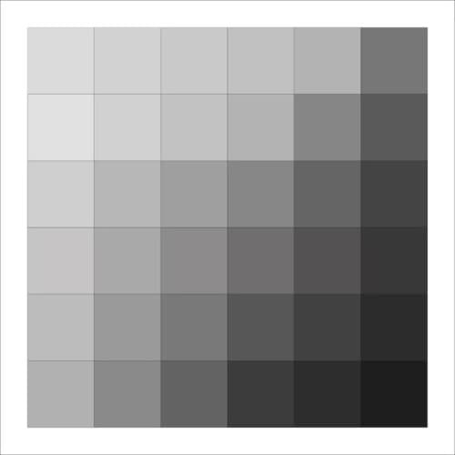 Gray Matters logo